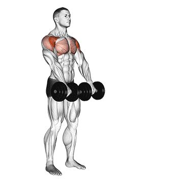 How To Perform Front Raises Correctly | Barbell Front Raise