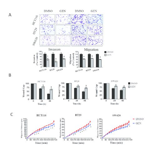 Genistein Inhibits Crc Cell Invasion And Migration A Transwell