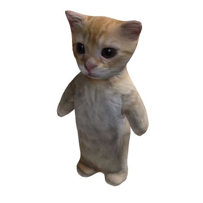 El Gato Katze Anzug Roblox