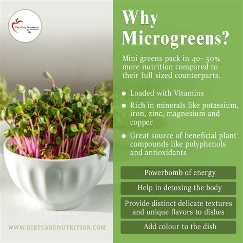 Microgreens Health Benefits Pdf