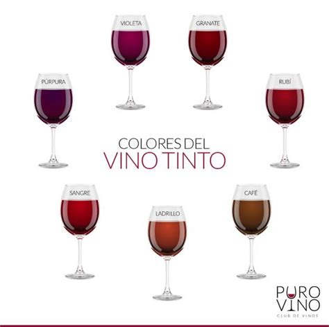 Los Colores Del Vino Tinto