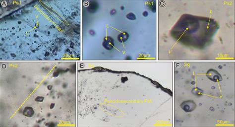 Photomicrographs Of Typical Fluid Inclusions In Scheelite And Quartz