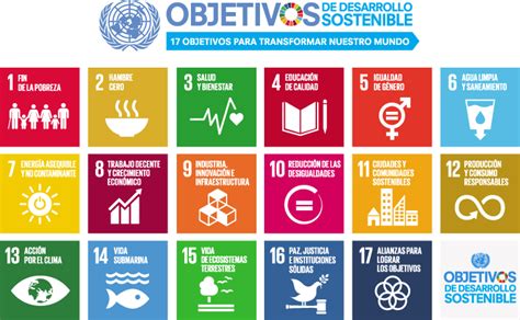 Qué Son Los 17 Objetivos De Desarrollo Sostenible Y La Agenda 2030