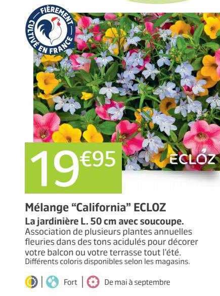 Promo Mélange california Ecloz chez Jardiland iCatalogue fr