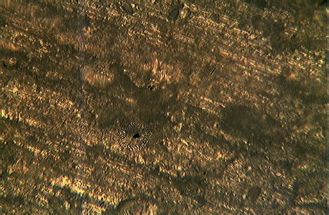 Figure 11. Microstructure of Pb-Sb matrix (Control) x400 : Reliability ...