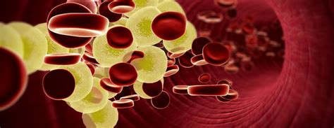 Symptoms and Causes of Coronary Artery Disease