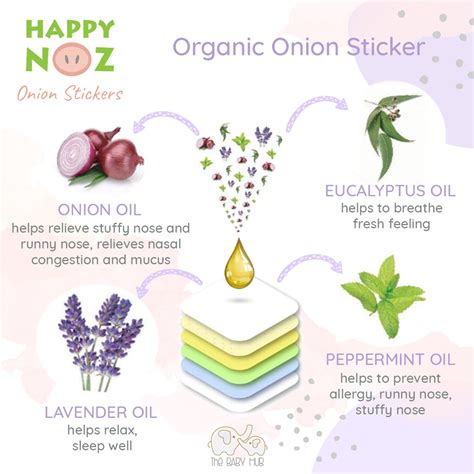 Happy Noz Organic Onion Sticker Baby Hub Philippines