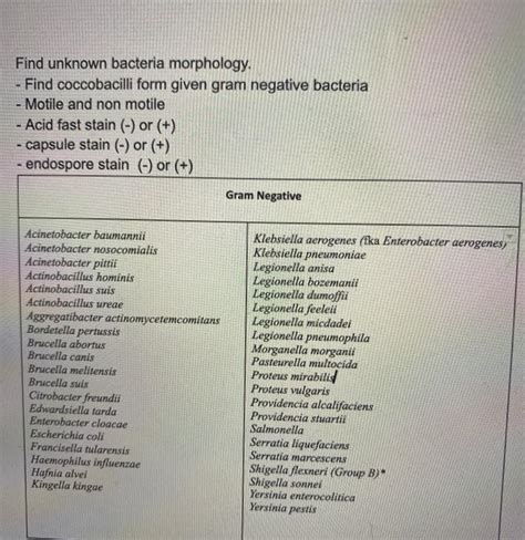 Solved Find Unknown Bacteria Morphology Find Coccobacilli Chegg