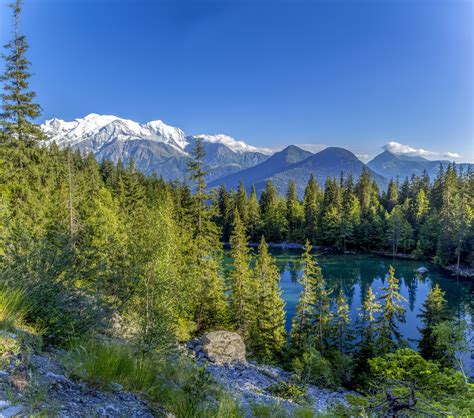 Lake And Forest Free Stock Photo Public Domain Pictures