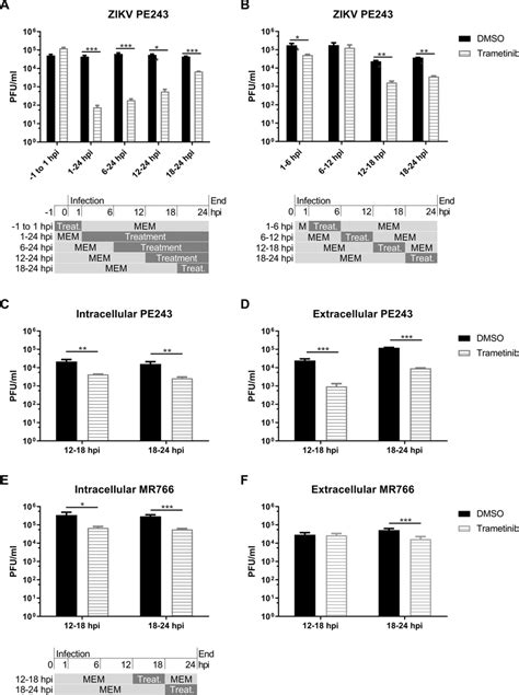 Trametinib Affects ZIKV Morphogenesis And Release Vero Cells Were