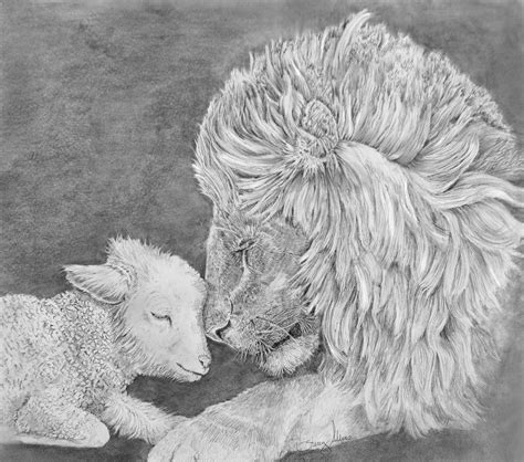 Lion Lamb Drawing - Drawing.rjuuc.edu.np