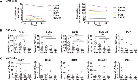 The Activated Phenotype Of Unconventional T Cells Restored After