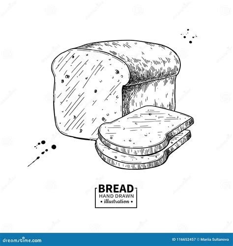 Dibujo Del Vector Del Pan Bosquejo Del Producto De La Panadería Comida