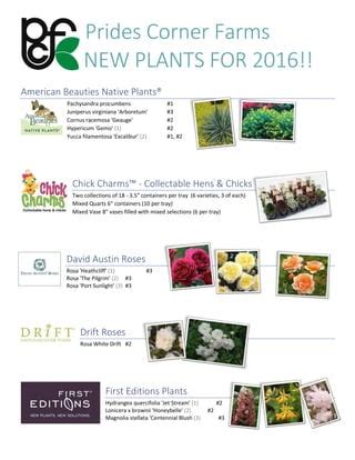 PCFNEW PLANTS 2016 | PDF