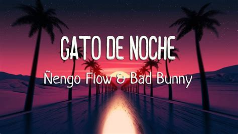 Engo Flow Ft Bad Bunny Gato De Noche Letra Lyrics Youtube