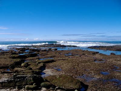 Ms. Katee: Shell Beach, La Jolla