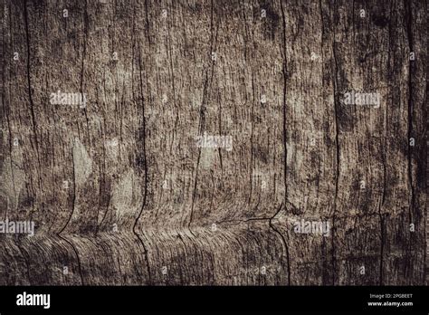 Textura De Madera Vieja Con Patrones Naturales Fondo Abstracto Y