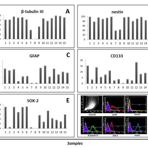 Marker Expression Percentage Values Of A Tubulin Iii B Nestin