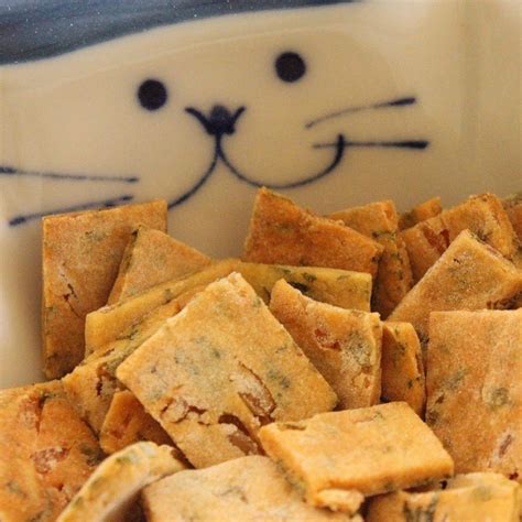 12 homemade cat treats and toys your kitten will love – Artofit