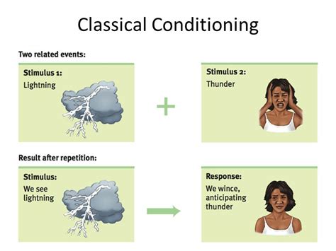 Educational Psychology: What is classical conditioning and what ...