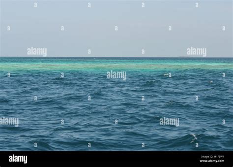 Maldives tropical paradise with turquoise water Stock Photo - Alamy