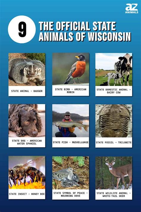 Discover the 9 Official State Animals of Wisconsin - A-Z Animals