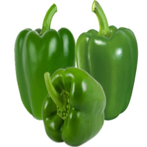 Natural Fine Rich Taste Chemical Free Healthy Green Fresh Capsicum At