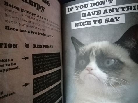 Grumpy Cat A Grumpy Book Kaufen Auf Ricardo