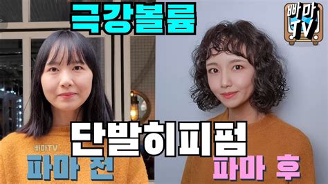 남자 짧은 히피펌으로 섹시하게 변신하세요 최고의 스타일로 눈길을 사로잡는 Tip 공개