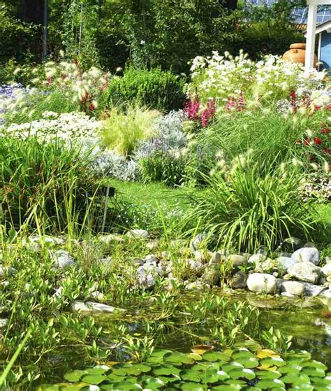 Teich Bepflanzen Für Ein ästhetisches And Nützliches Ökosystem