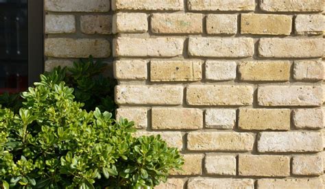 Flemish Bond Definition Characteristics And Uses