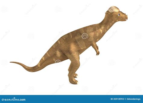 Odp Aca Si Pachycephalosaurus Ilustracji Ilustracja Z O Onej Z