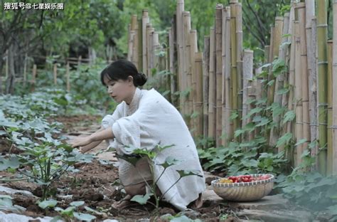 李子柒停更一年，疑似被取代，“九月”靠模仿吸粉百万 视频 美食 网友