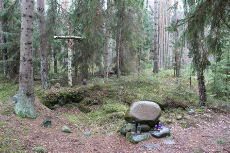 Pierwsza Egzekucja Polak W W Stutthofie Muzeum Ii Wojny Wiatowej