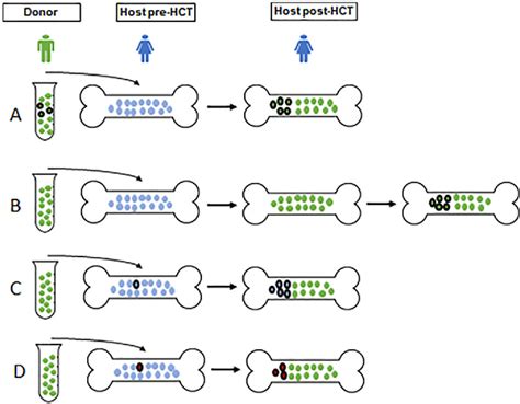 Figure 1 From The Clinical Implications Of Clonal Hematopoiesis In