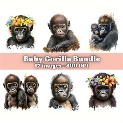 Cute Baby Gorilla Pictures