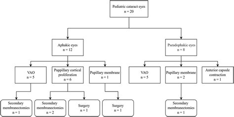 Frontiers Treatment Of Visual Axis Opacification And Secondary