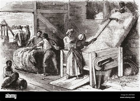 Cotton Gin Slaves Coping