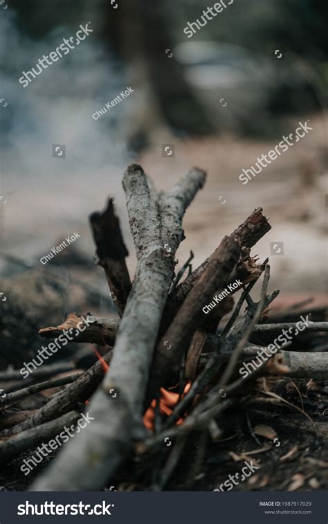 Campfire Smoke Campsite Stock Photo 1987917029 | Shutterstock