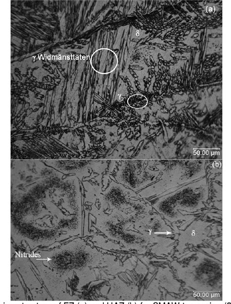 Figure 1 From USE OF THE ELECTROCHEMICAL MICROCELL TECHNIQUE FOR