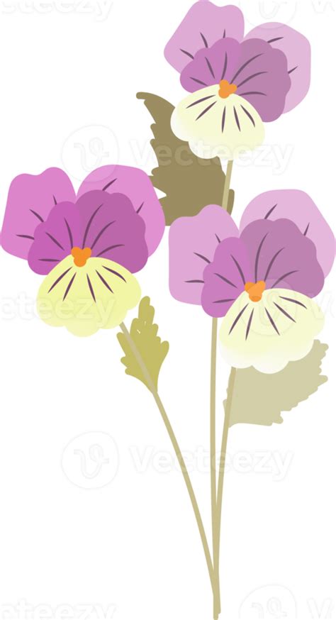 Flat Style Beautiful Viola Flower In Pink And Purple Tone 12675767 PNG