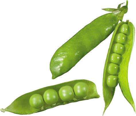 100 Peas Png Images