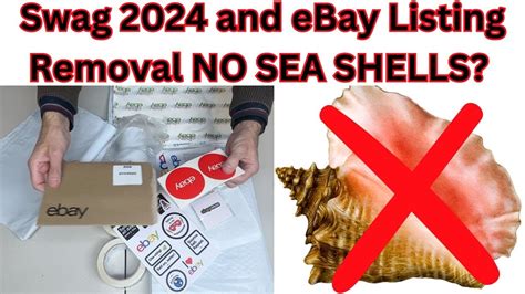 Talking EBay Spring Seller Update Swag 2024 And EBay Listing Removal No