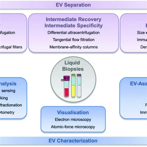 Biogenesis Nomenclature And Specic Markers Of Extracellular Vesicles