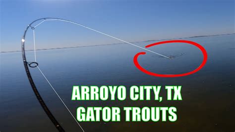 Arroyo City Tx Fishing New Pb Gator Youtube