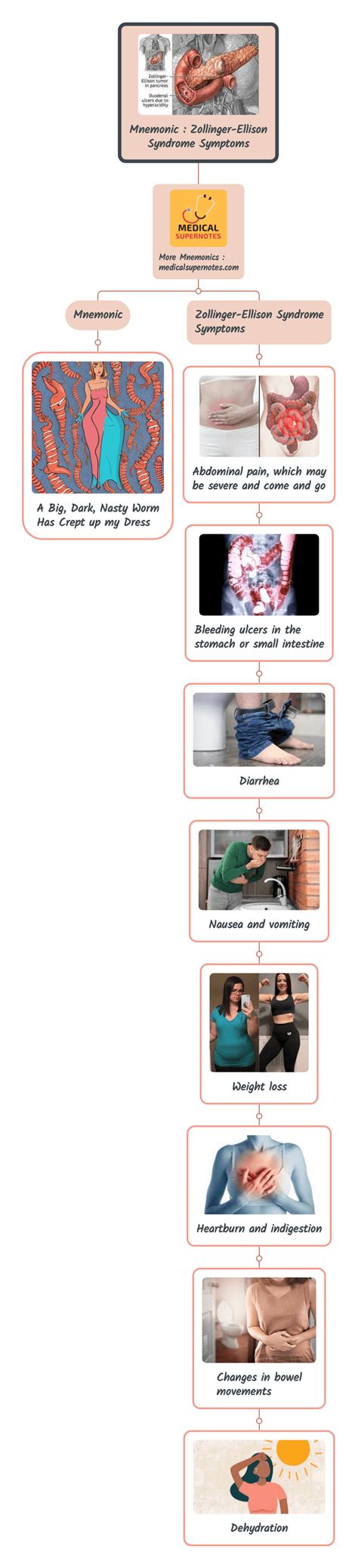 [Very Cool] Mnemonic : Zollinger-Ellison Syndrome Signs & Symptoms ...