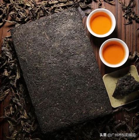 泡好茶 六大茶類該如何控制出湯時間？ 每日頭條