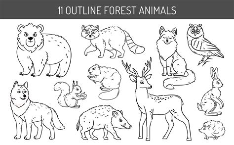 A set of forest animals on an isolated background. Cute contoured animals in cartoon style ...