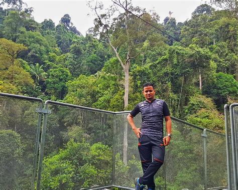 Firdaus Kembara Tree Top Walk Sungai Sedim