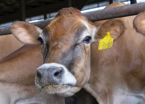 Upstate New York Farm To Host North American Manure Expo